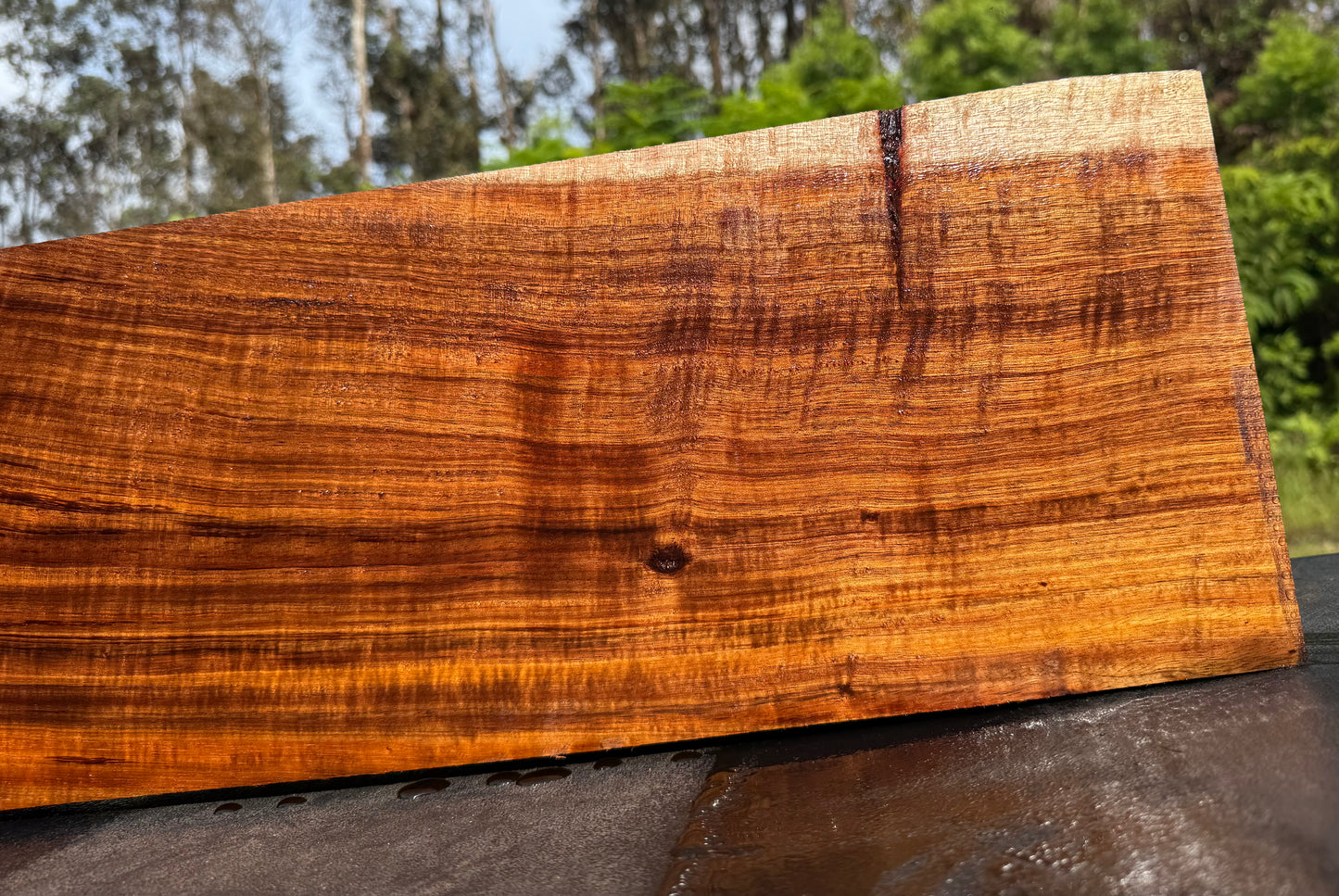 Hawaiian Curly Koa Board / Guitar Billet #14793