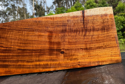 Hawaiian Curly Koa Board / Guitar Billet #14793
