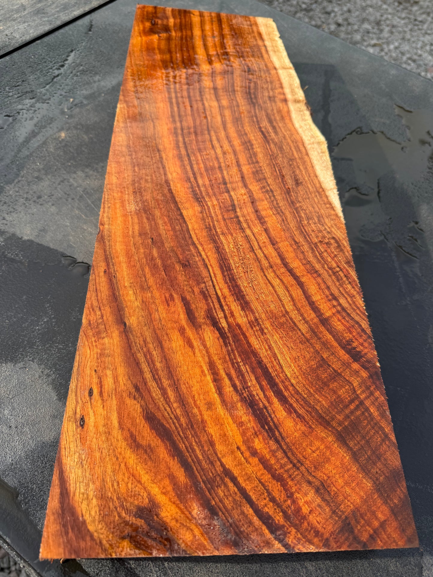 Hawaiian Curly Koa Board / Guitar Billet #14793