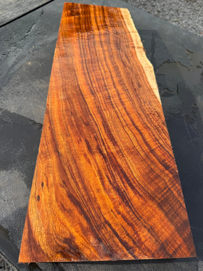 Hawaiian Curly Koa Board / Guitar Billet #14793