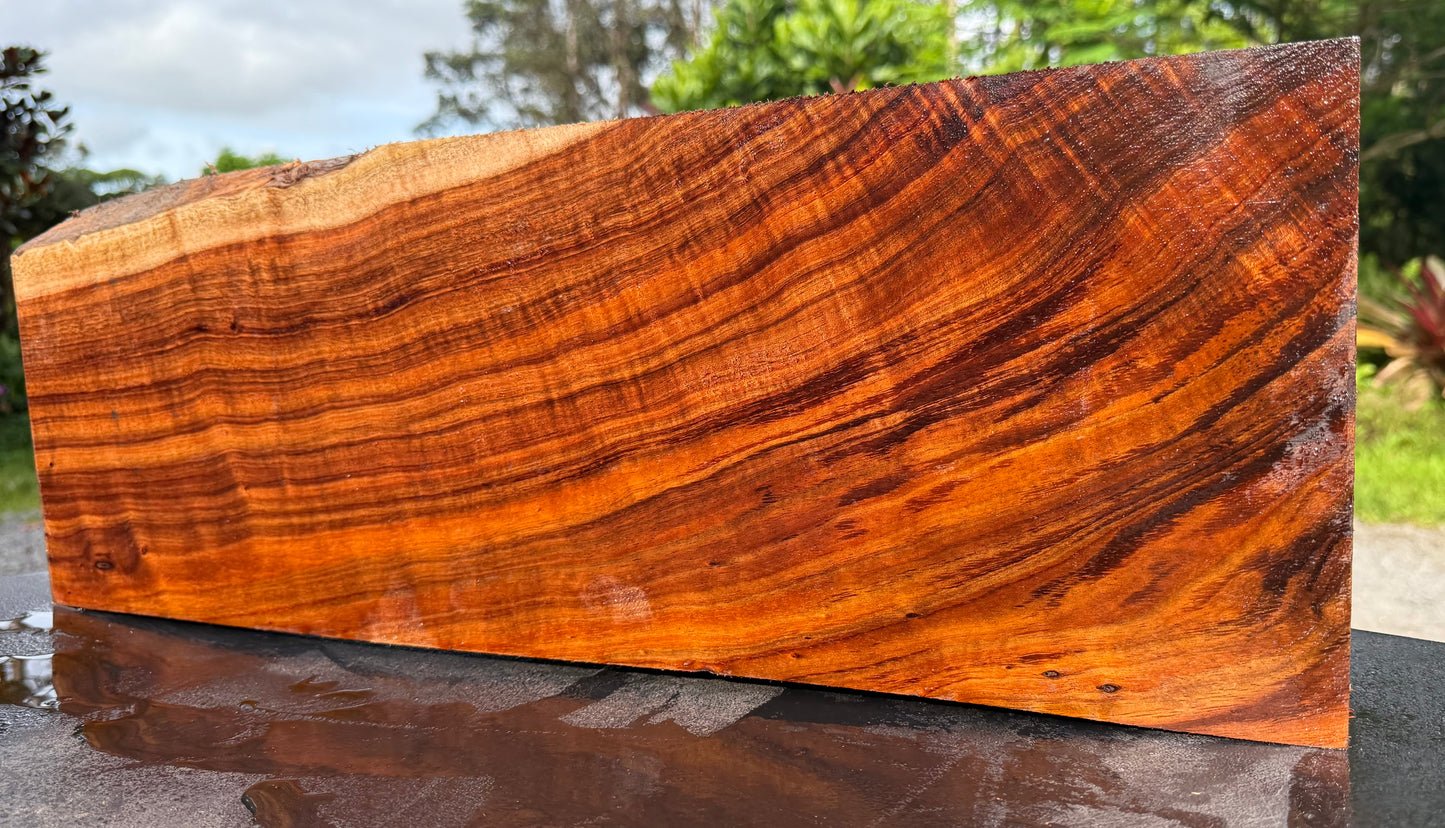 Hawaiian Curly Koa Board / Guitar Billet #14793