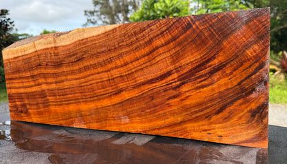 Hawaiian Curly Koa Board / Guitar Billet #14793