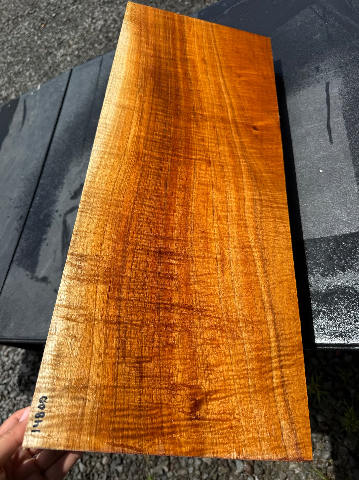 Hawaiian Curly Koa Board / Guitar Billet #14800