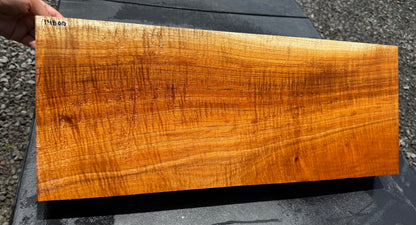 Hawaiian Curly Koa Board / Guitar Billet #14800