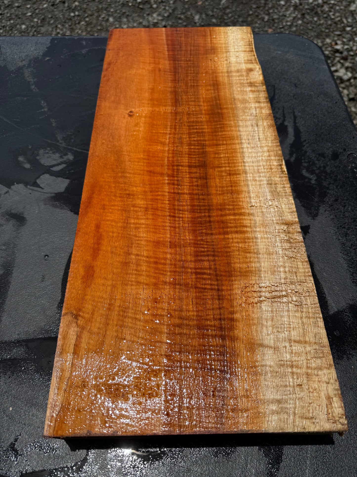 Hawaiian Curly Koa Board / Guitar Billet #14800