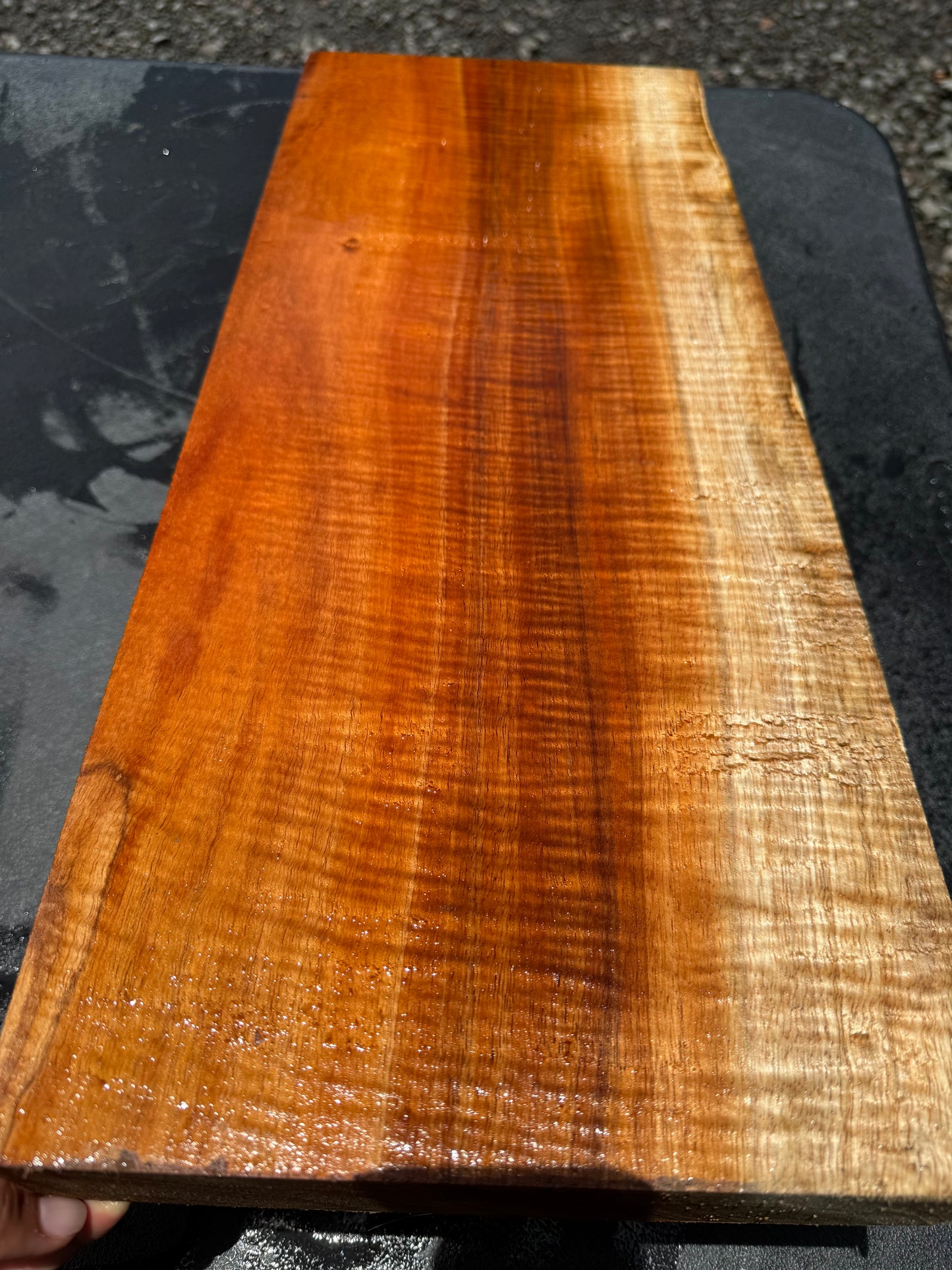 Hawaiian Curly Koa Board / Guitar Billet #14800