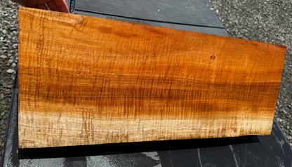 Hawaiian Curly Koa Board / Guitar Billet #14800