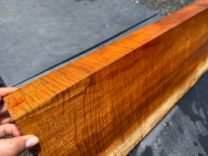Hawaiian Curly Koa Board / Guitar Billet #14800