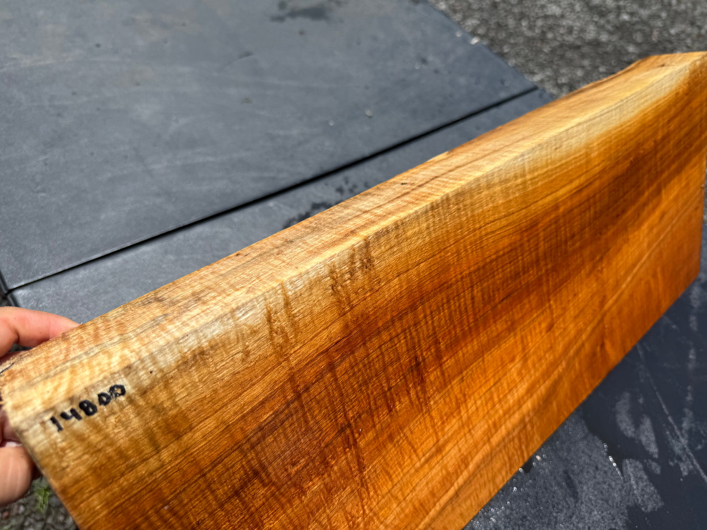 Hawaiian Curly Koa Board / Guitar Billet #14800
