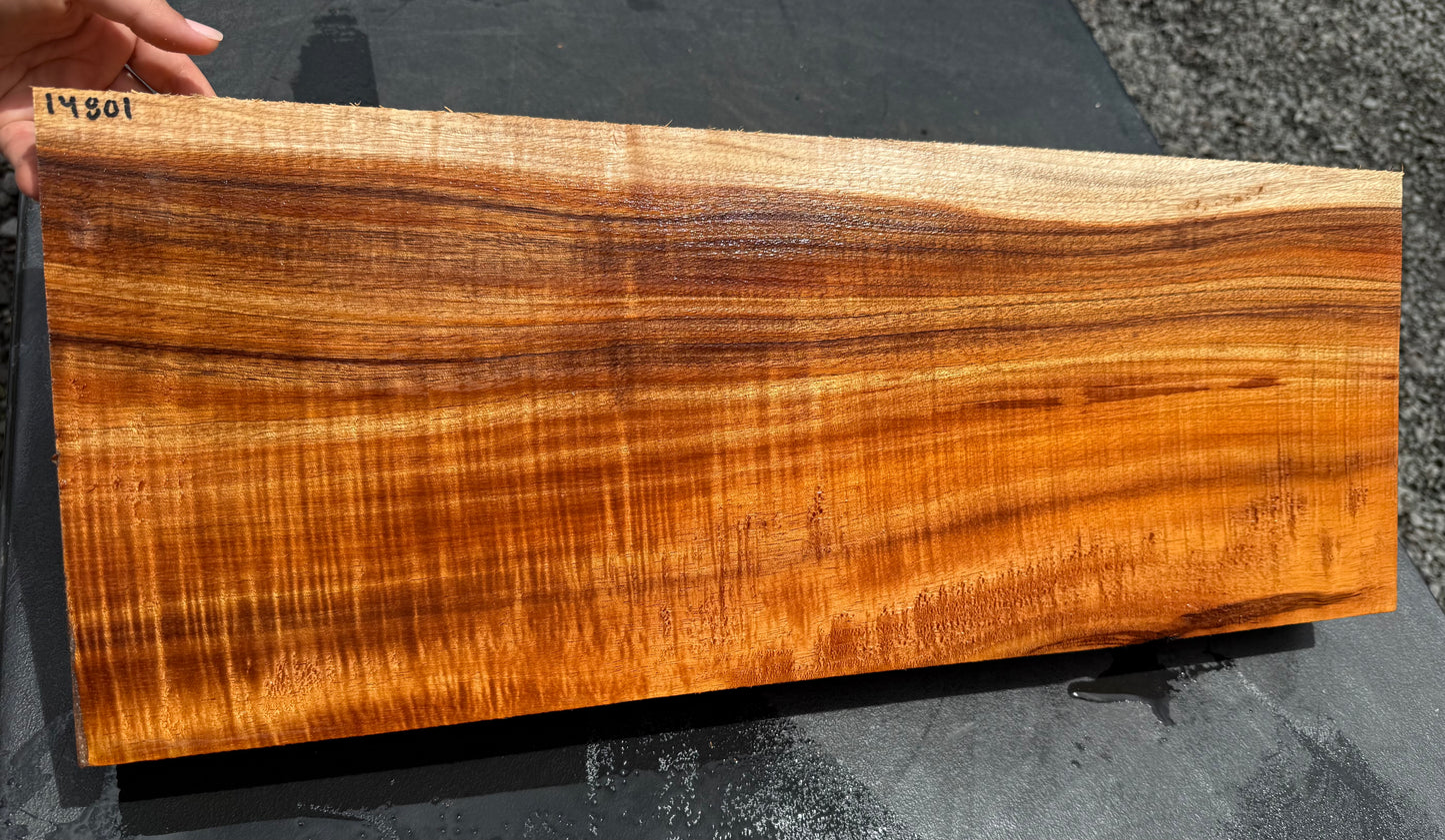 Hawaiian Curly Koa Board / Guitar Billet #14801