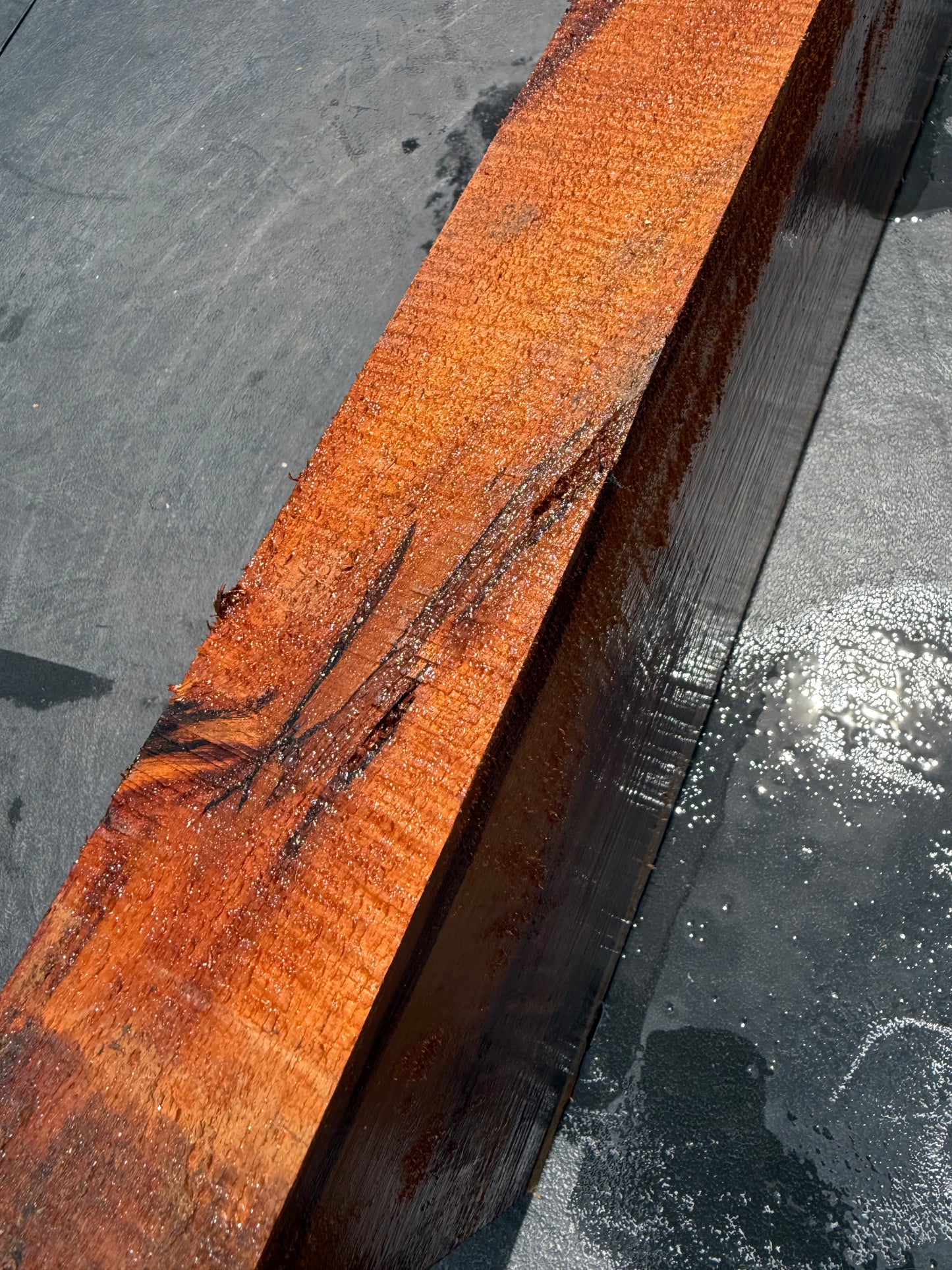 Hawaiian Curly Koa Board / Guitar Billet #14801