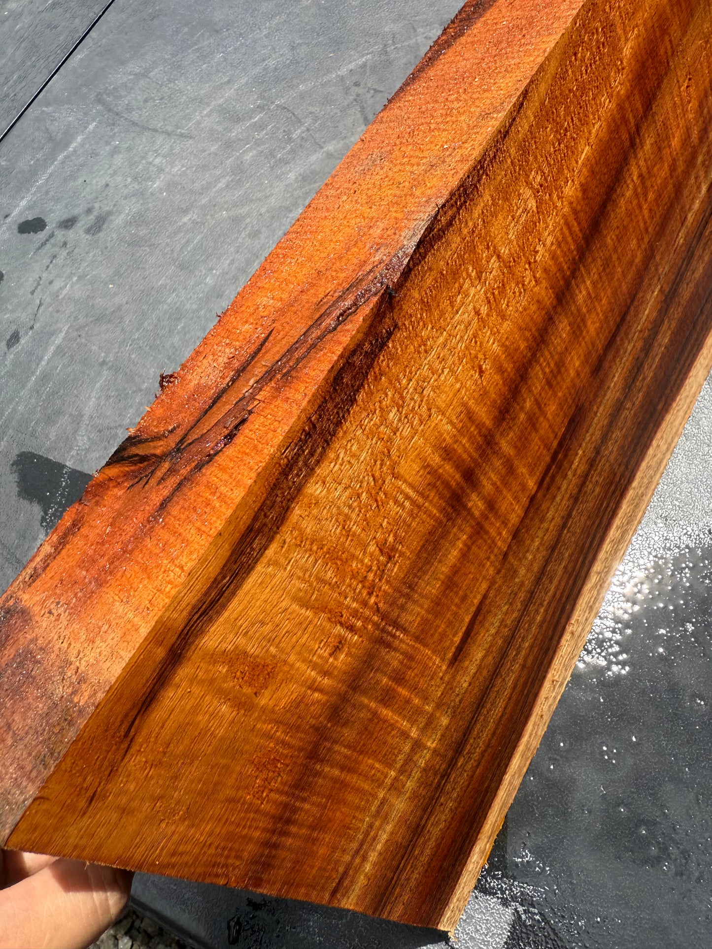 Hawaiian Curly Koa Board / Guitar Billet #14801