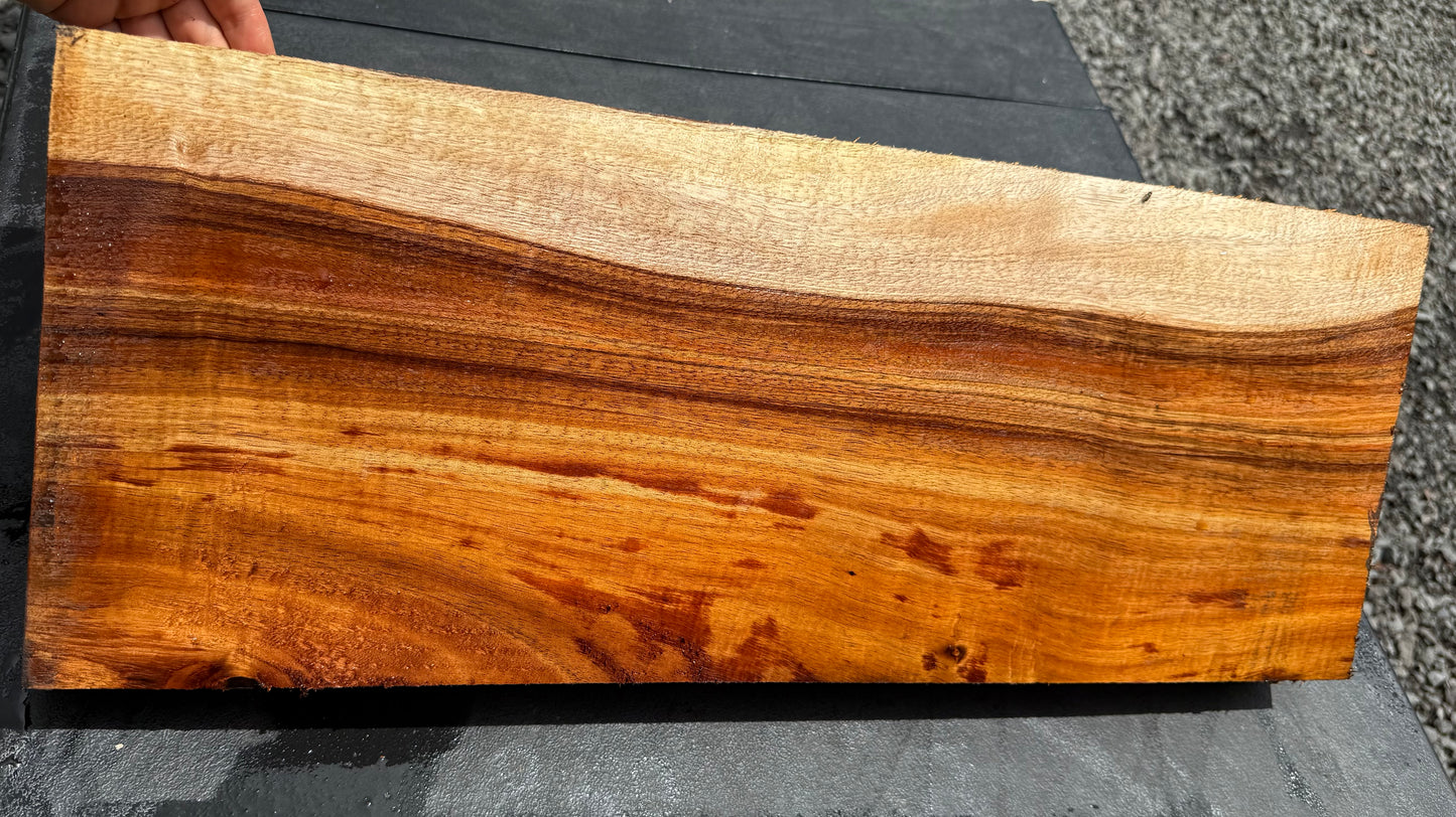 Hawaiian Curly Koa Board / Guitar Billet #14801
