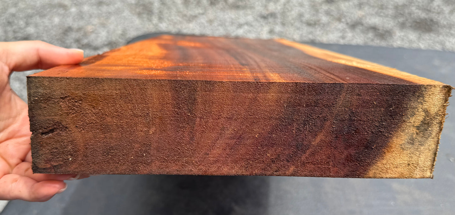 Hawaiian Curly Koa Board / Guitar Billet #14801