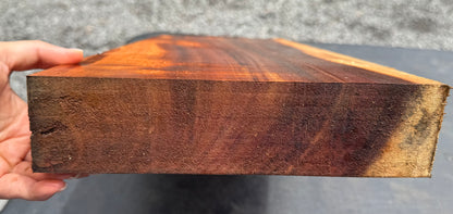 Hawaiian Curly Koa Board / Guitar Billet #14801