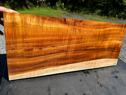 Hawaiian Curly Koa Board / Guitar Billet #14802