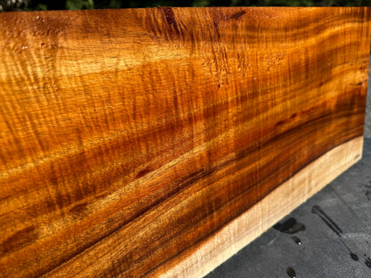Hawaiian Curly Koa Board / Guitar Billet #14802