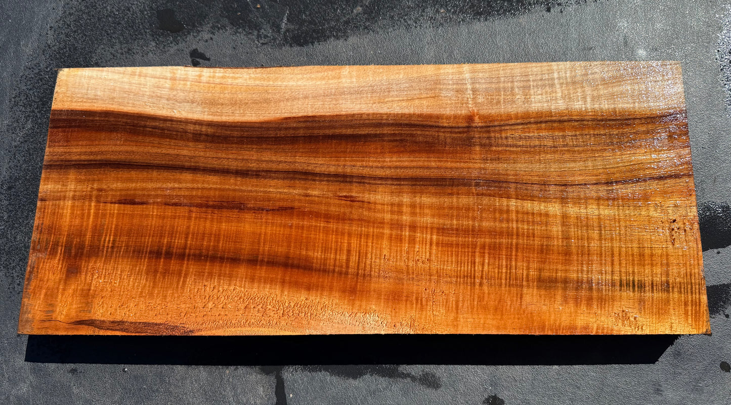 Hawaiian Curly Koa Board / Guitar Billet #14802