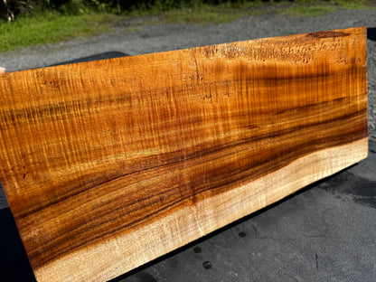 Hawaiian Curly Koa Board / Guitar Billet #14802