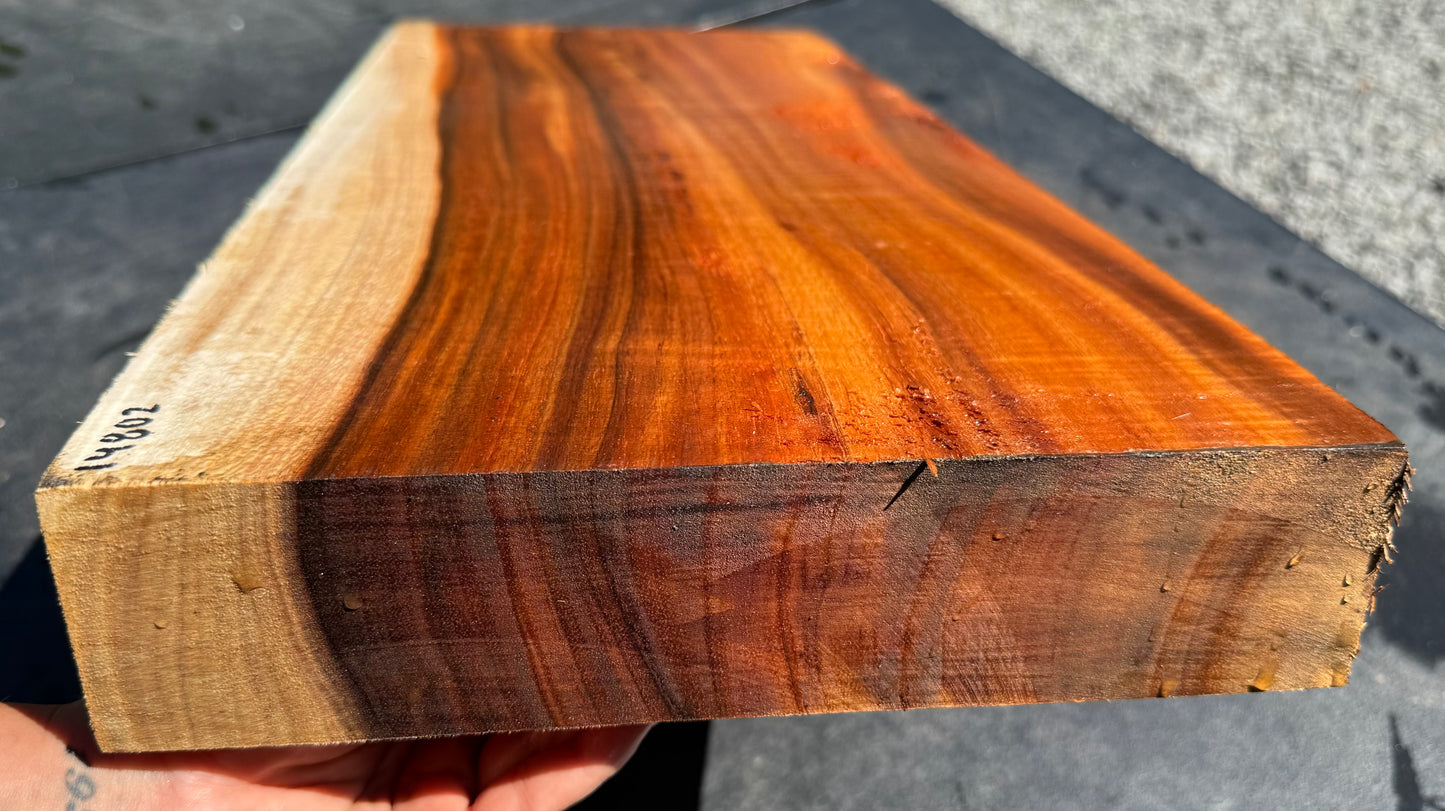 Hawaiian Curly Koa Board / Guitar Billet #14802