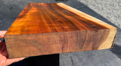 Hawaiian Curly Koa Board / Guitar Billet #14802