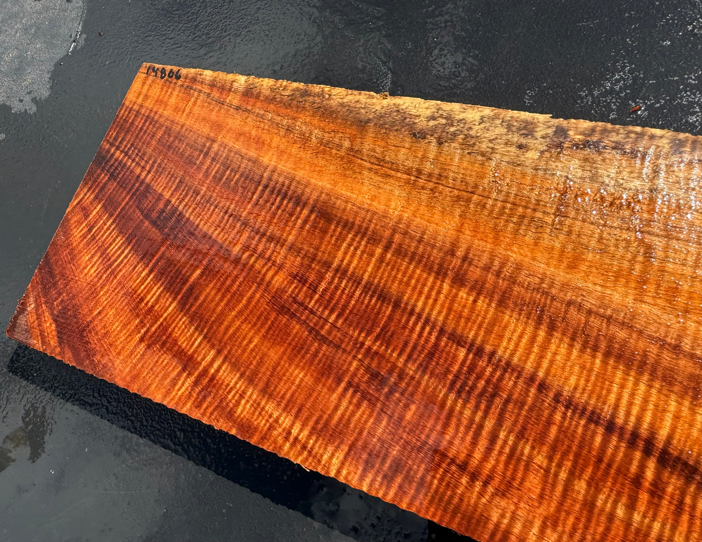 Hawaiian Curly Koa Board #14806