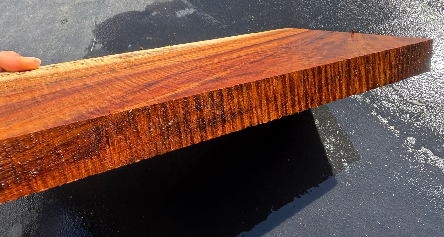 Hawaiian Curly Koa Board #14806