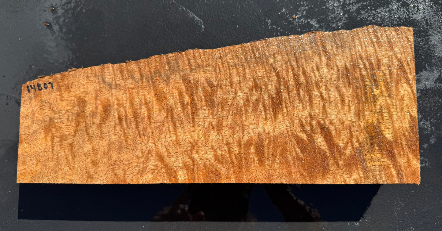 Hawaiian Curly Mango Board #14807