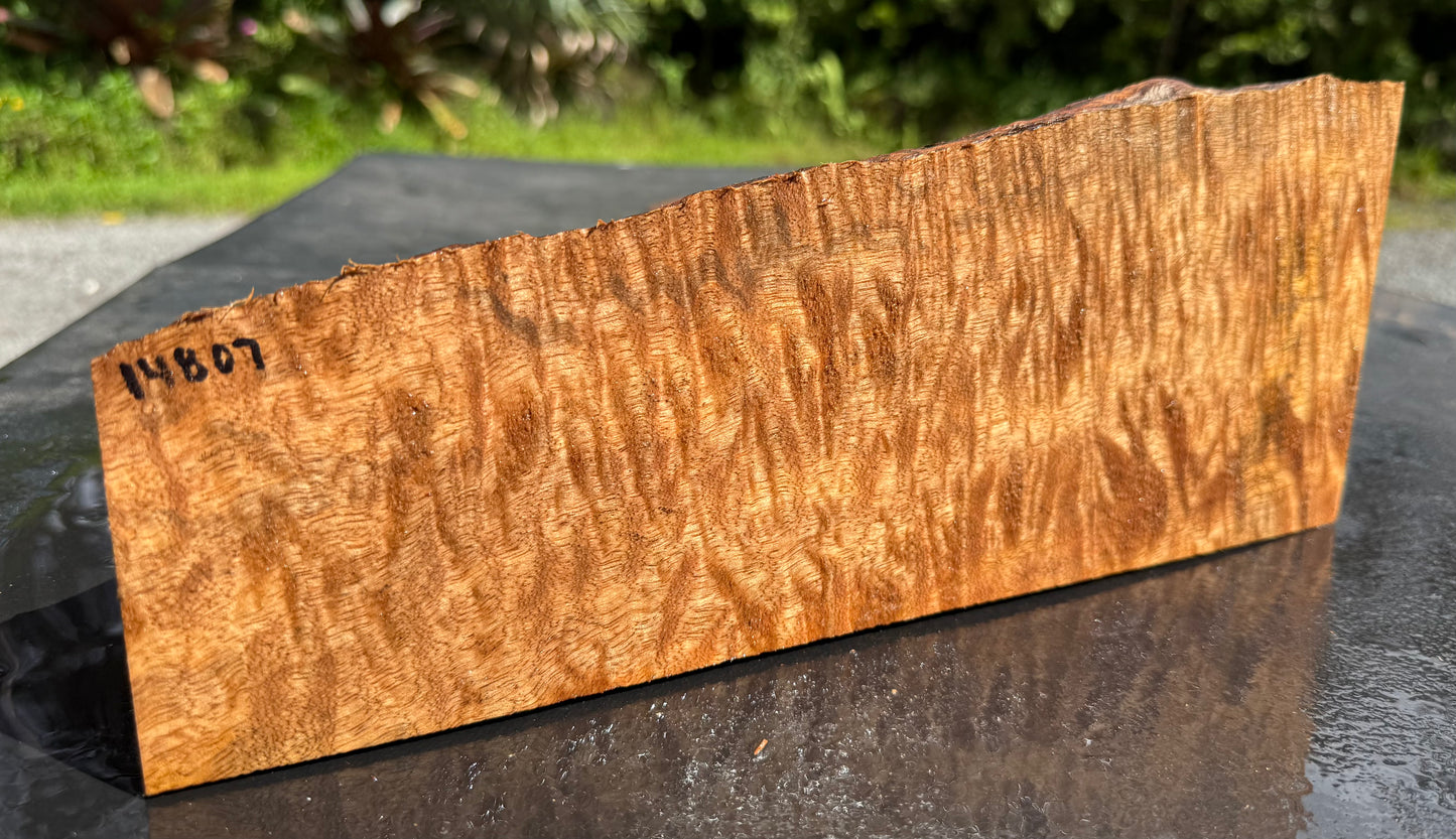 Hawaiian Curly Mango Board #14807