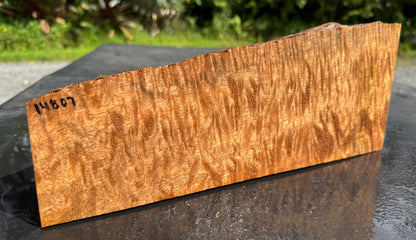 Hawaiian Curly Mango Board #14807