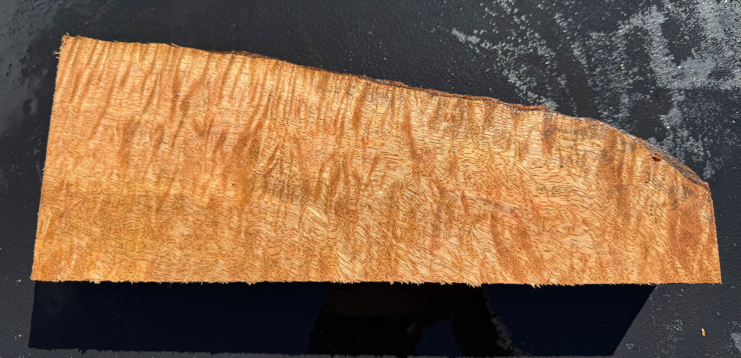 Hawaiian Curly Mango Board #14807