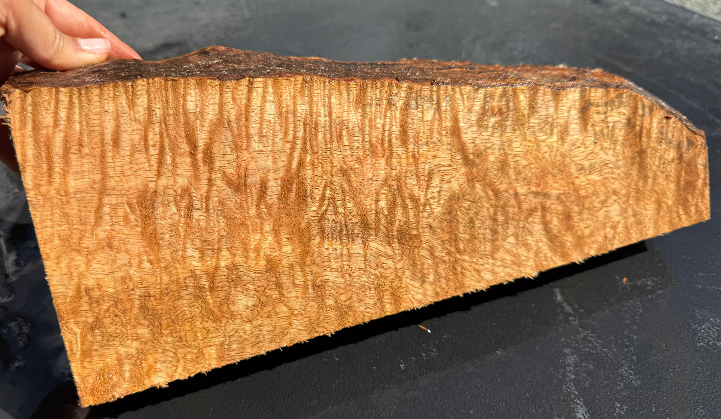 Hawaiian Curly Mango Board #14807