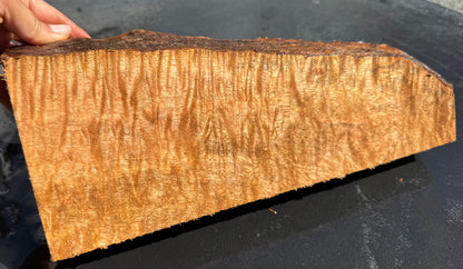 Hawaiian Curly Mango Board #14807