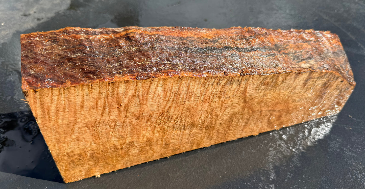 Hawaiian Curly Mango Board #14807