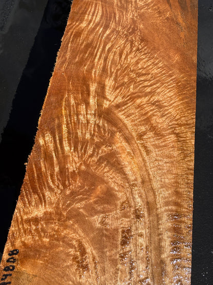 Hawaiian Curly Mango Board #14808