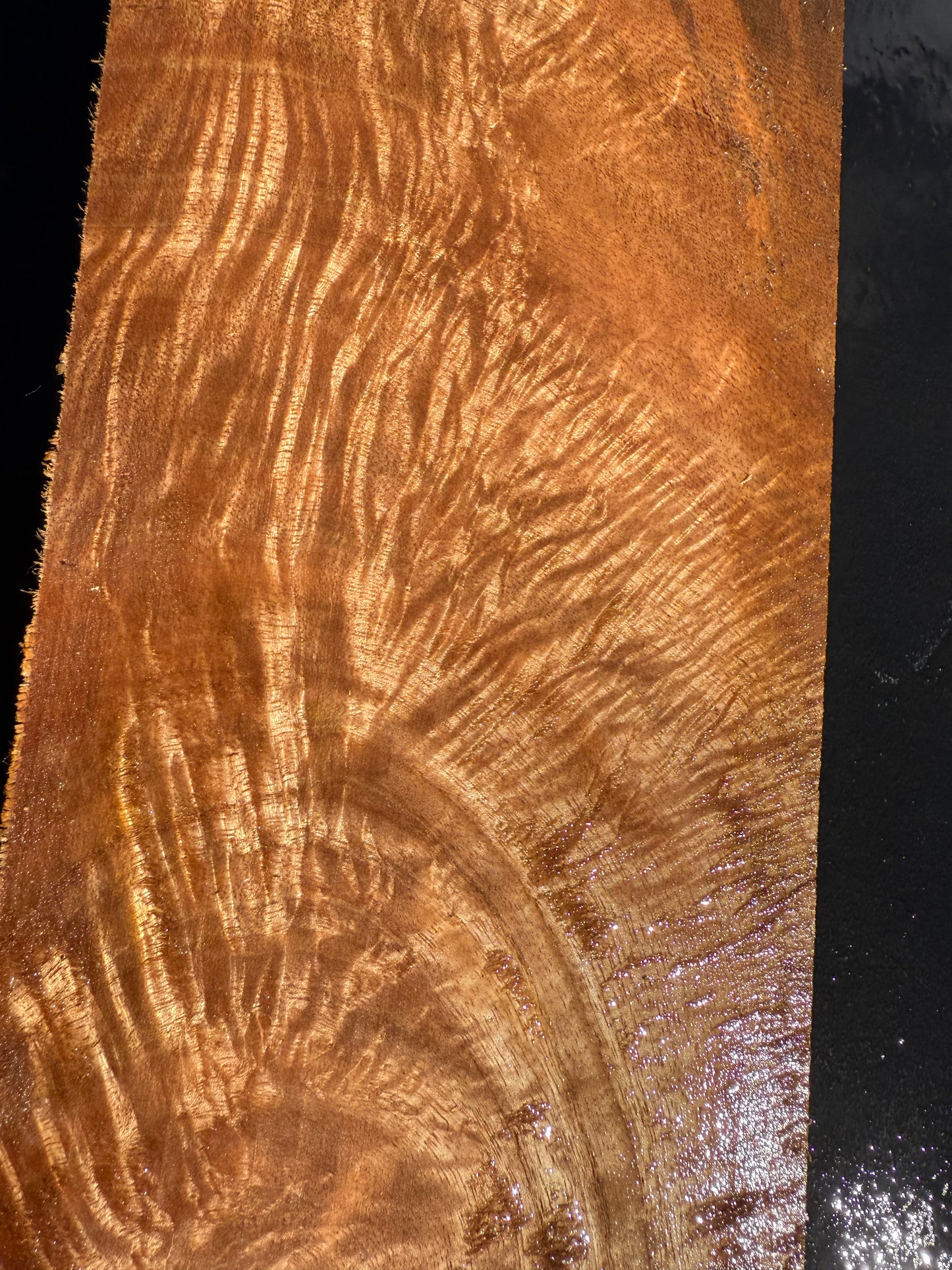 Hawaiian Curly Mango Board #14808