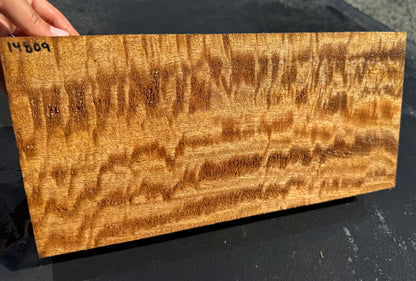 Hawaiian Curly Mango Board #14809