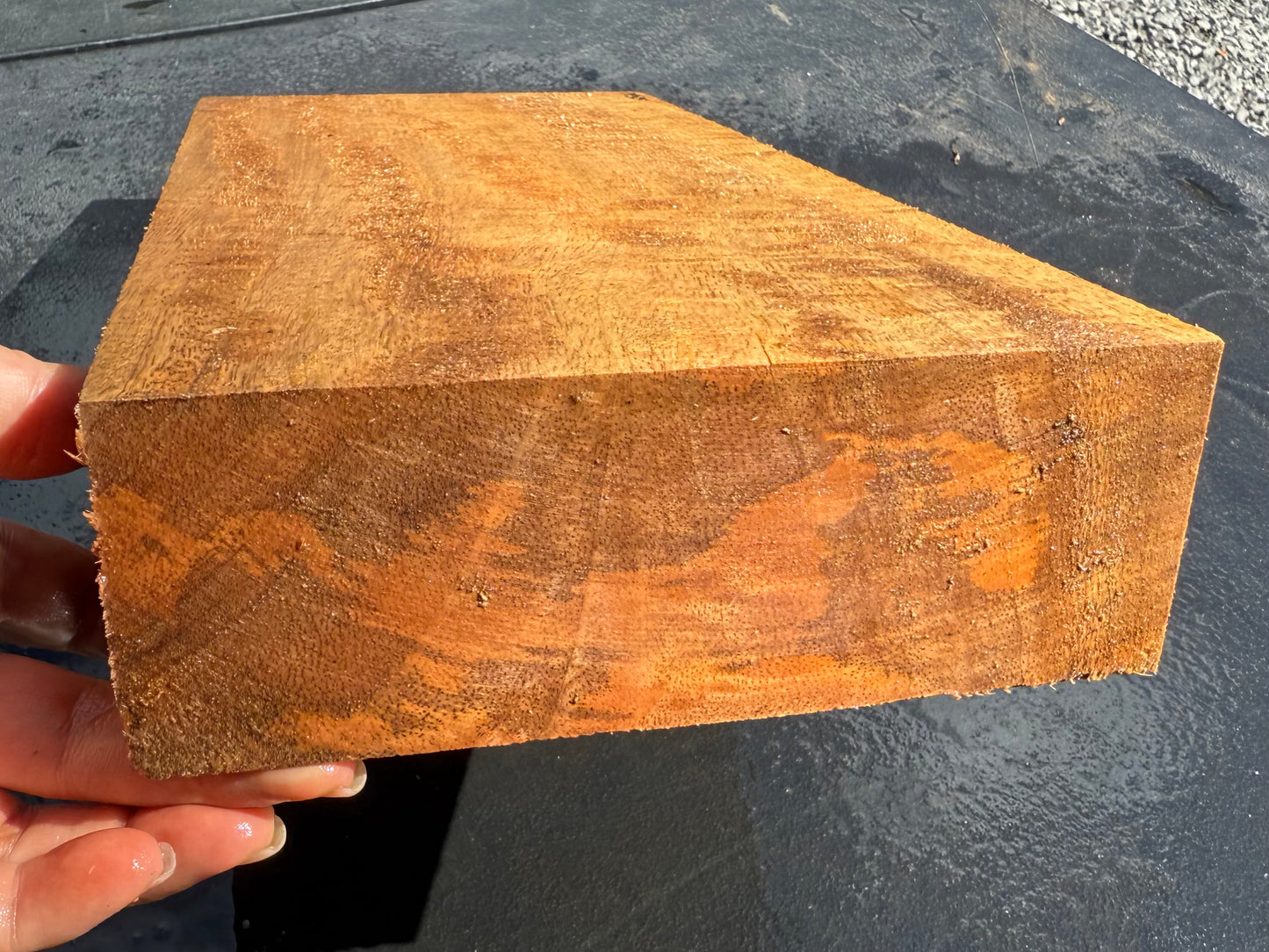 Hawaiian Curly Mango Board #14809