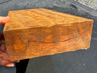 Hawaiian Curly Mango Board #14809