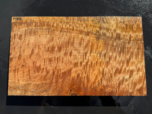 Hawaiian Curly Mango Board #14810