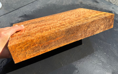 Hawaiian Curly Mango Board #14810