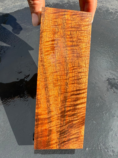 Hawaiian Stabilized Curly Koa Block #KB415