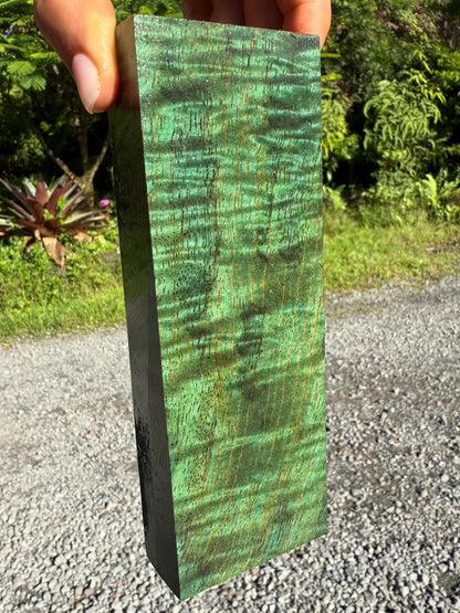 Hawaiian Stabilized Curly Mango Block #M350