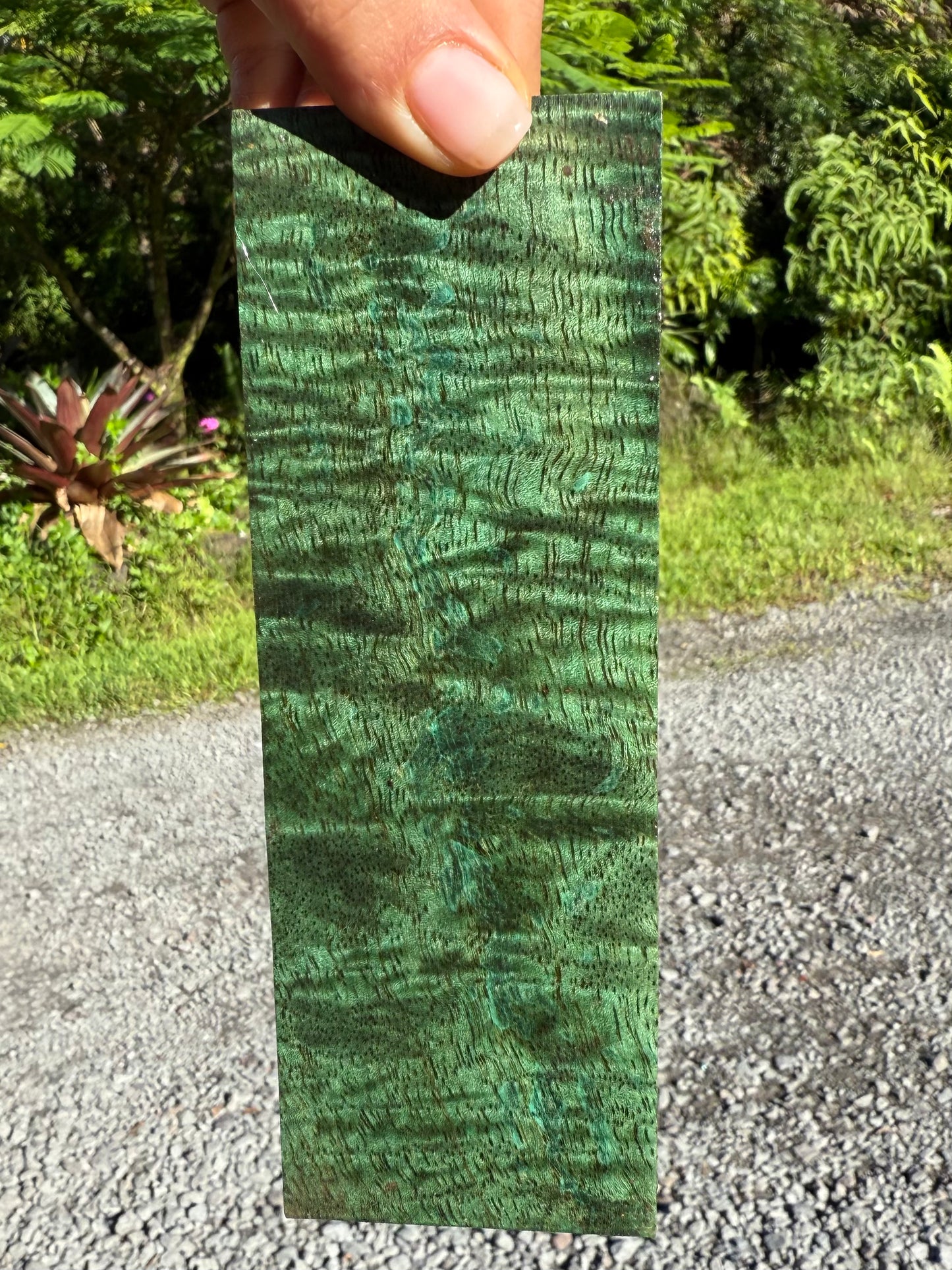 Hawaiian Stabilized Curly Mango Block #M350