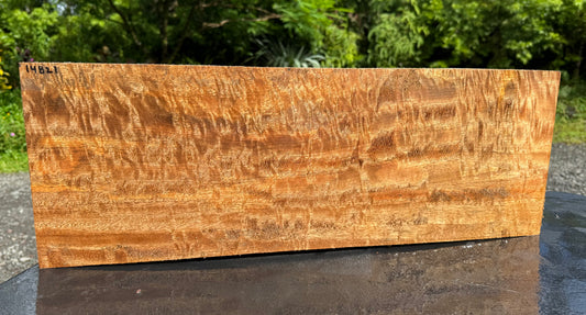 Hawaiian Curly Mango Board / Guitar Billet #14821