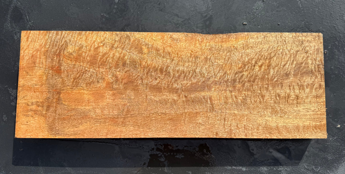 Hawaiian Curly Mango Board / Guitar Billet #14821