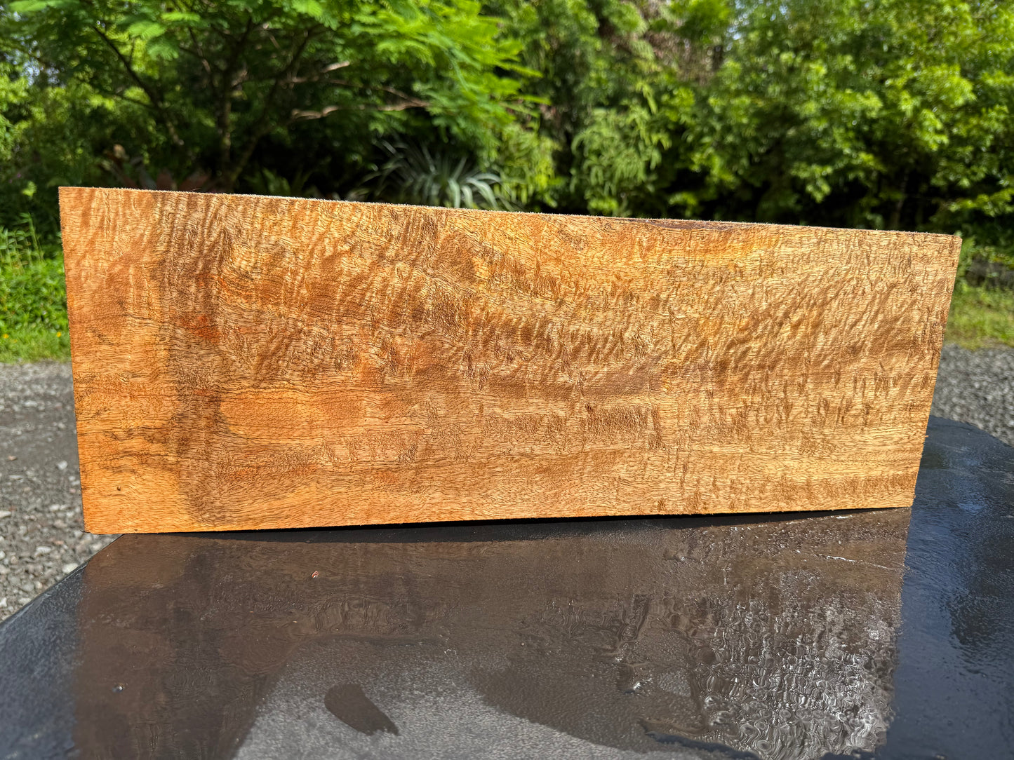 Hawaiian Curly Mango Board / Guitar Billet #14821