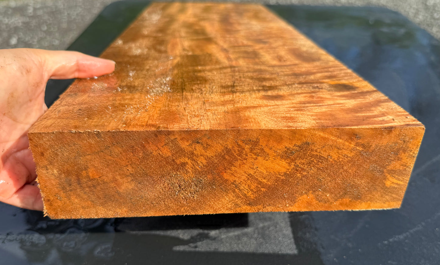 Hawaiian Curly Mango Board / Guitar Billet #14821