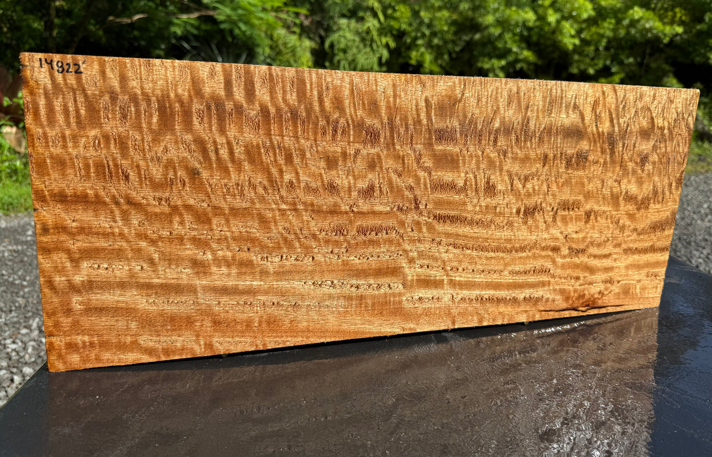 Hawaiian Curly Mango Board / Guitar Billet #14822