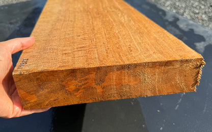 Hawaiian Curly Mango Board / Guitar Billet #14822